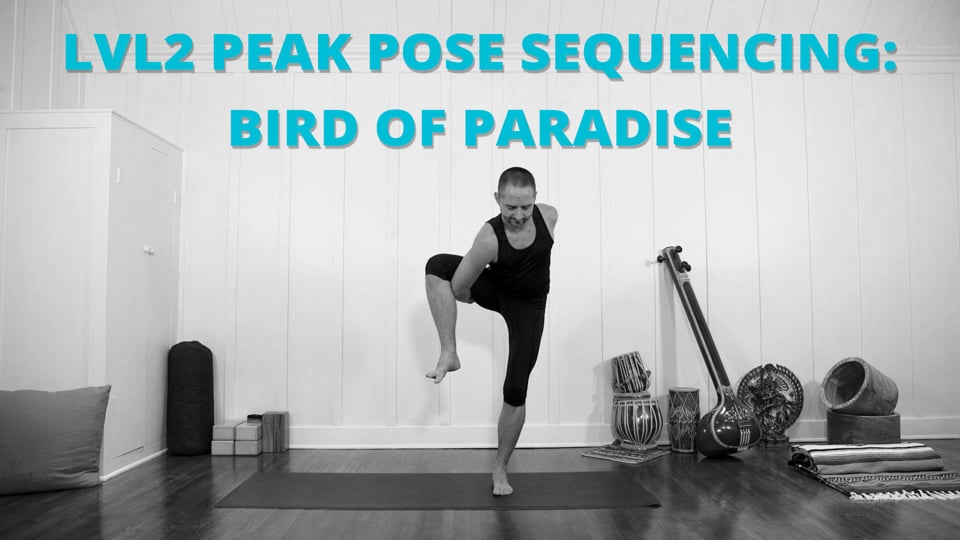 Lvl2 Peak Pose Sequencing: Bird of Paradise