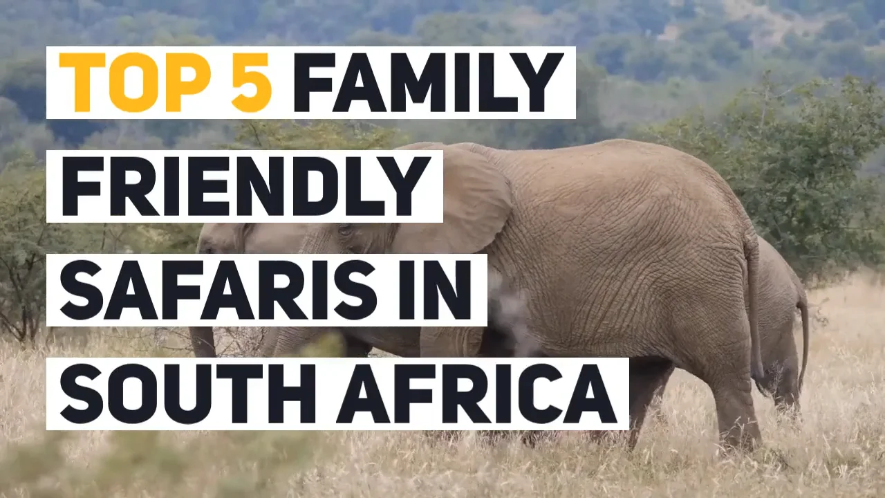 Top 5 Family Friendly South African Safaris