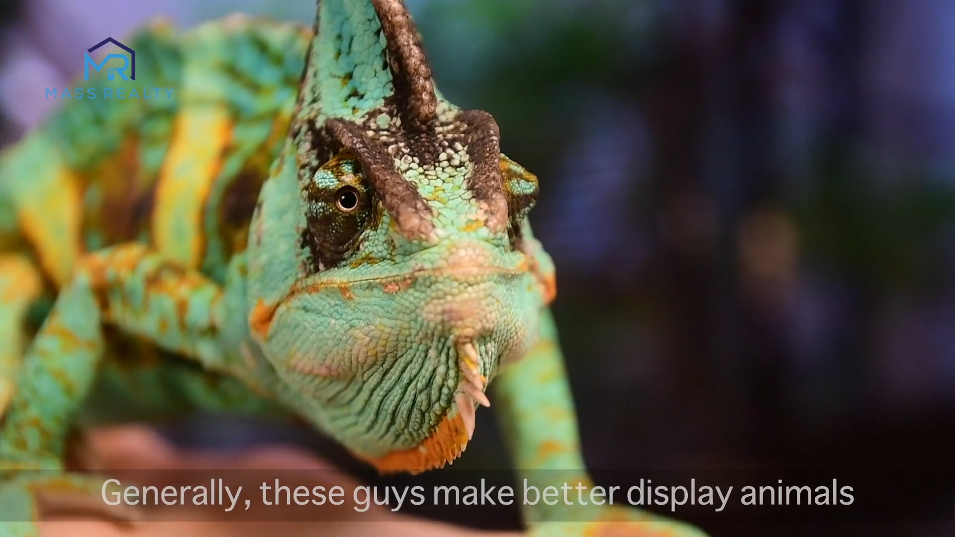 Winchester Jabberwock