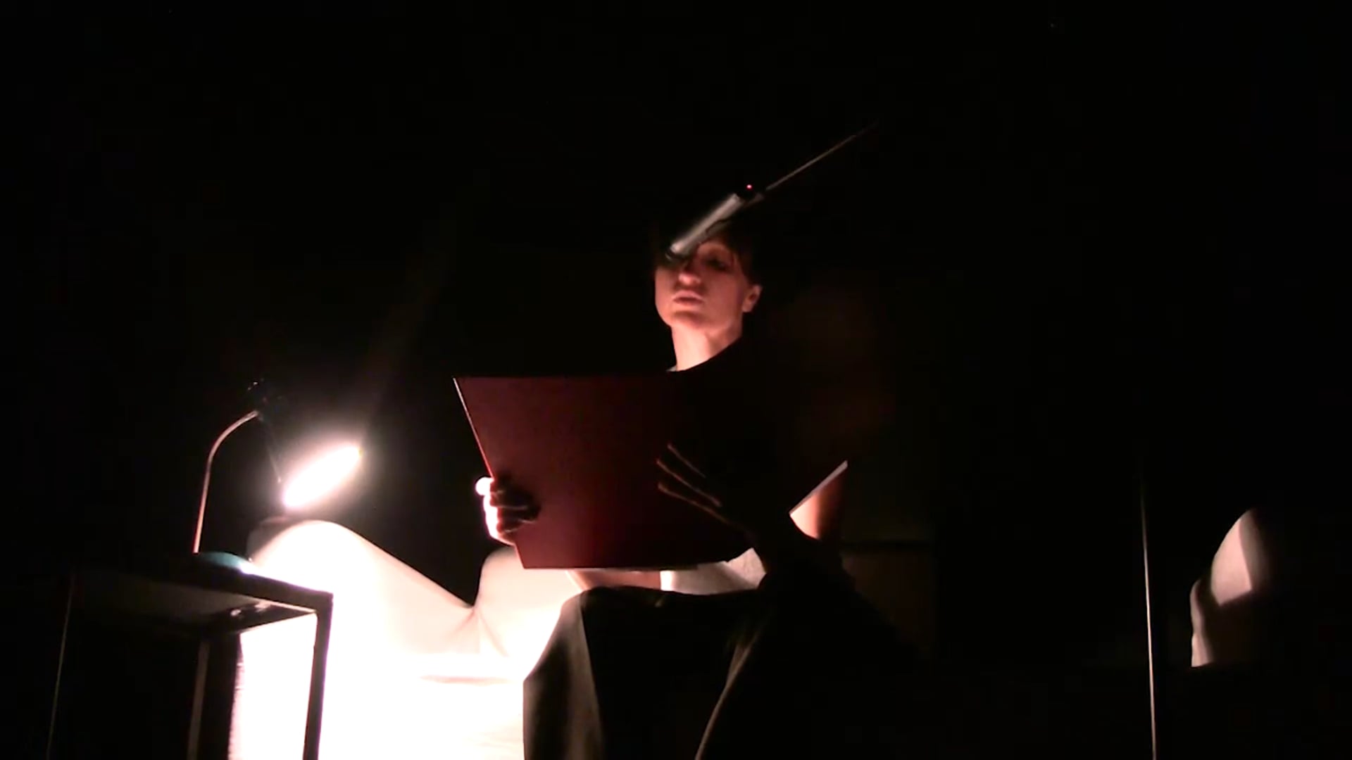 Snježana Premuš: Vsak zdaj je čas, prostor