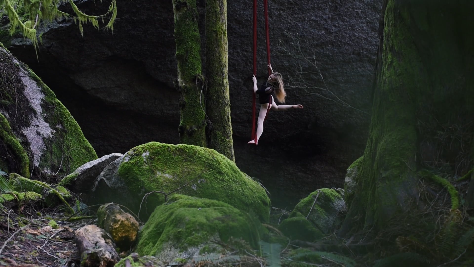 Dancing in the Woods - An Aerial Interview with Sasha Galitzki
