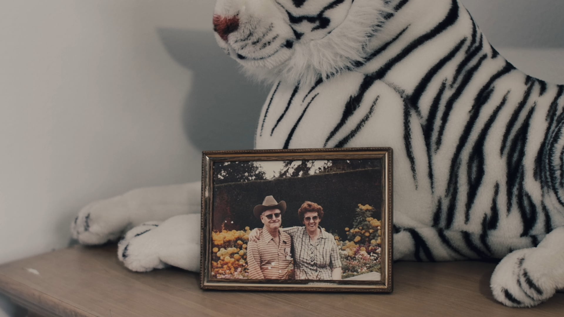 Eastwind CC "Charles"