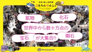 株式会社ミネラルマルシェ様　展示会紹介動画