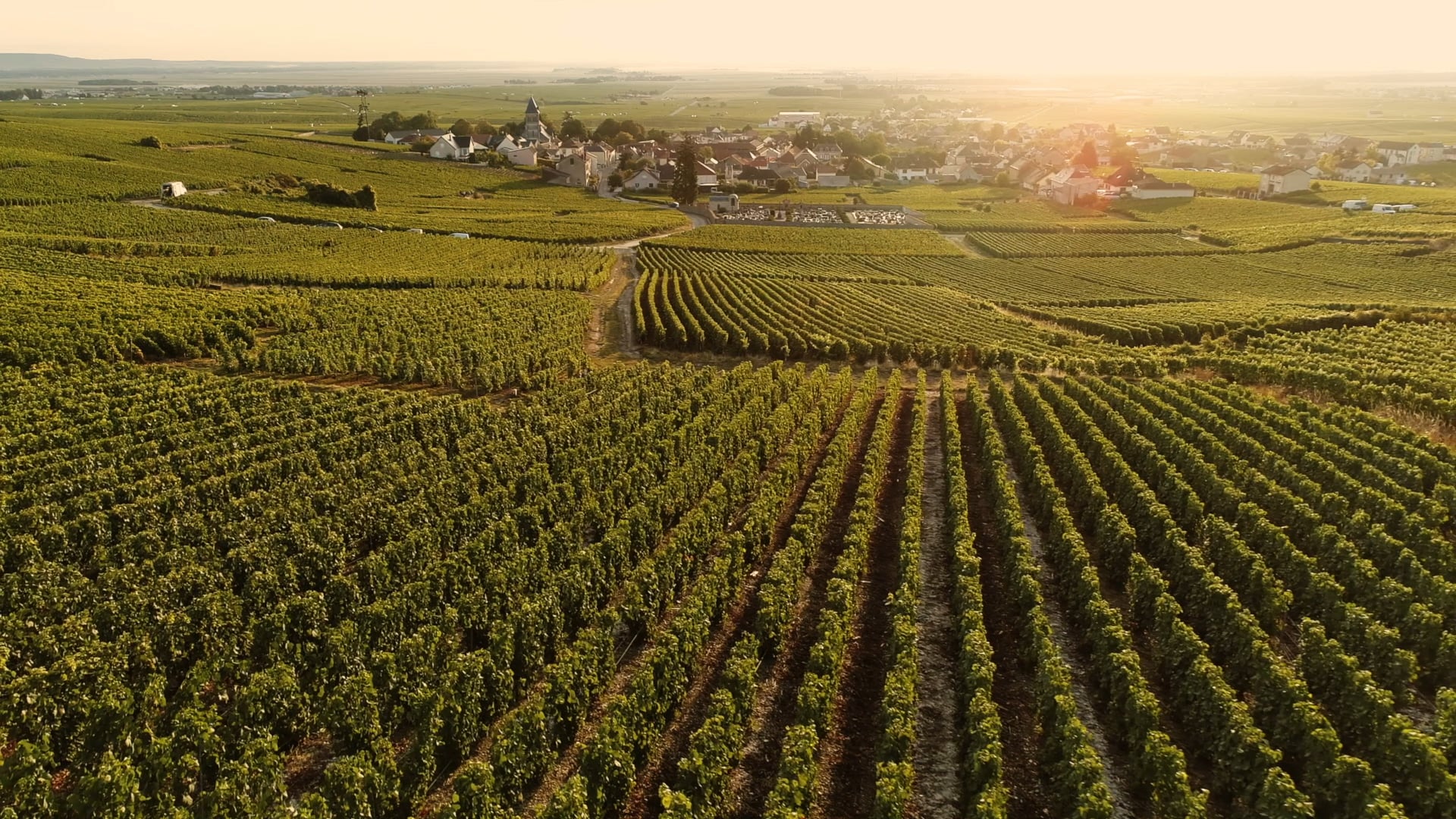 MOD Selection Champagne - Instagram long version film