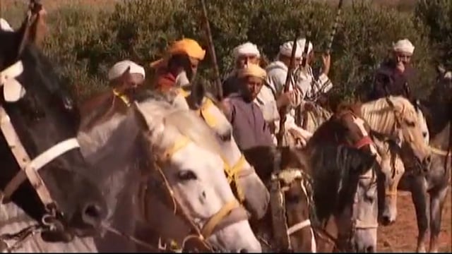 Under the Spell of Horses - Morocco