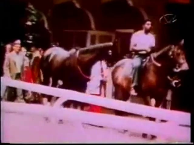 1975 Match Race - Ruffian vs Foolish Pleasure
