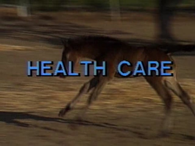 Basic Horsemanship Health Care, Ep2 Part 1
