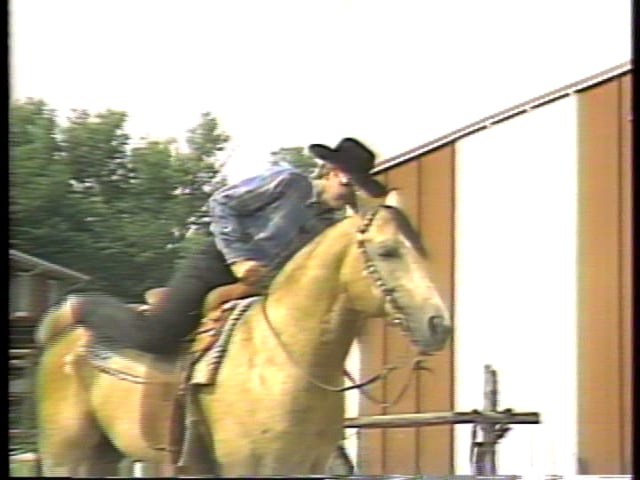 Doug Mulholland - Reining Foundations - Part 1