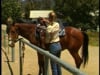 Basic Horsemanship - Mount Up - Part 1