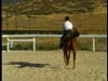 Basic Horsemanship - Mount Up - Part 3