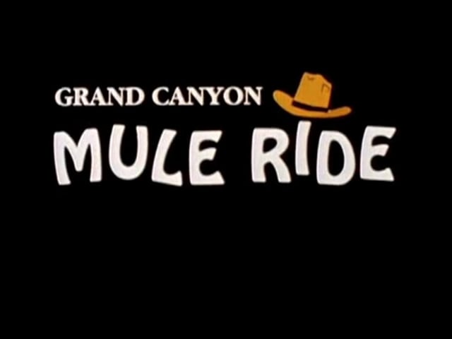 Grand Canyon Mule Ride - Pt 1