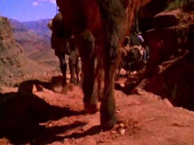 Grand Canyon Mule Ride - Pt 2