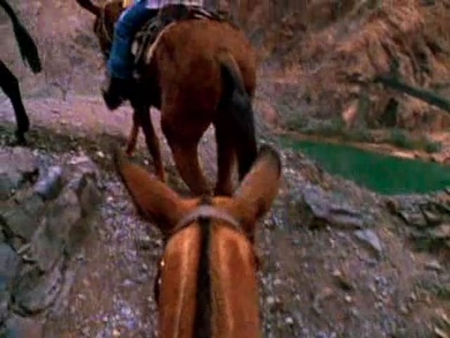 Grand Canyon Mule Ride - Pt 3