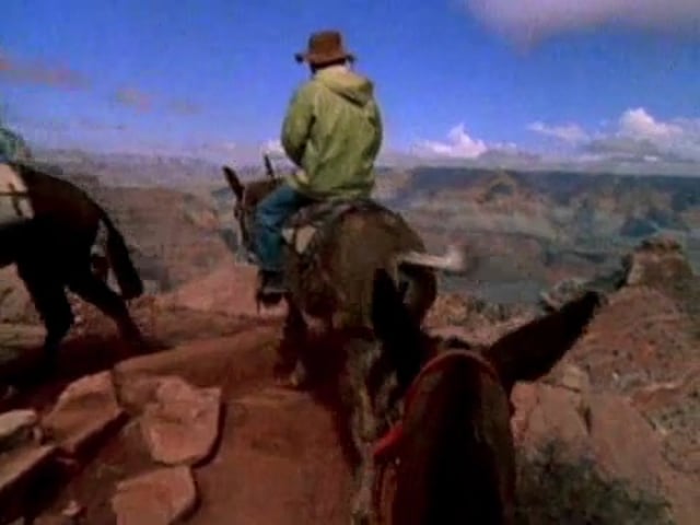 Grand Canyon Mule Ride - Pt 4