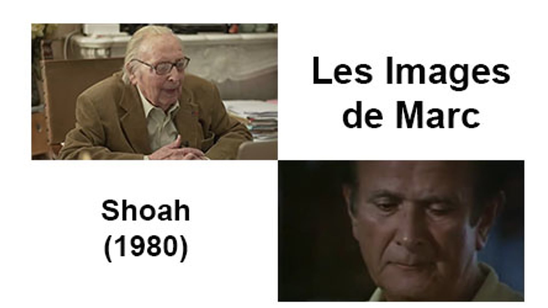 Shoah (1980)
