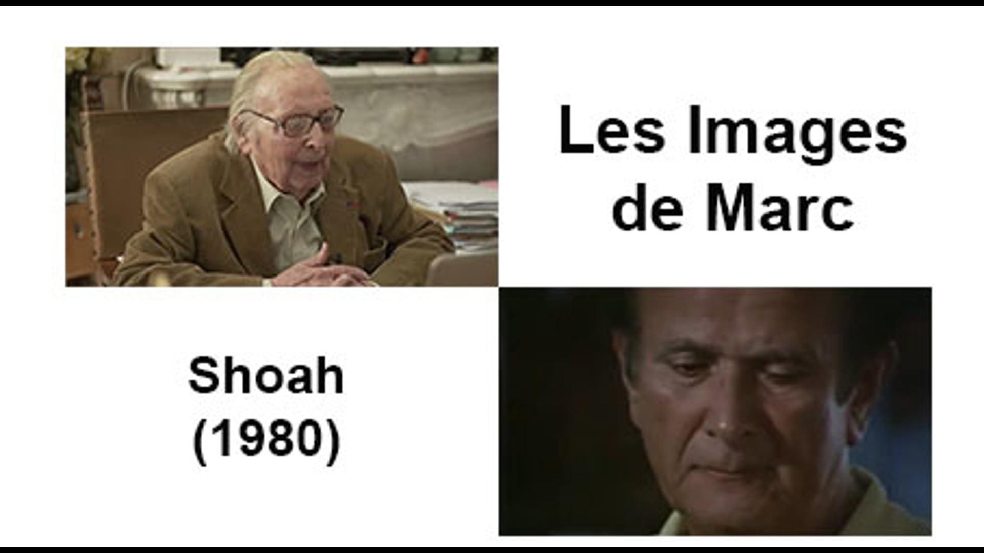 Shoah (1980)
