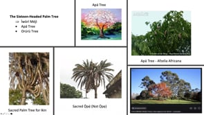 Devotion 200/12.01.2019 - Sacred Trees