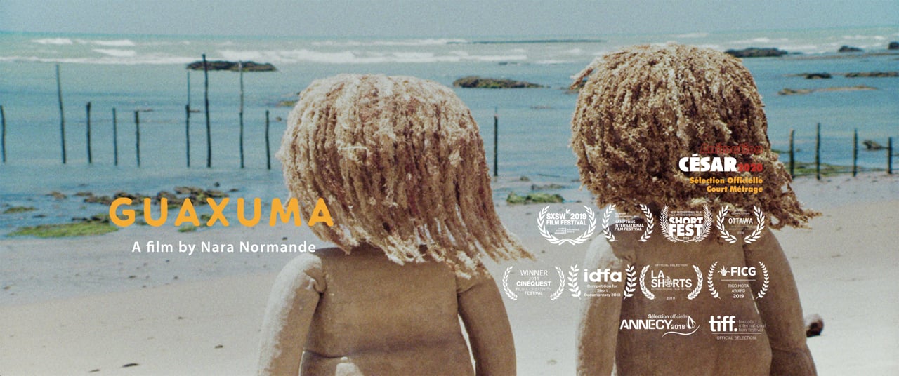Guaxuma | Short Film of the Day