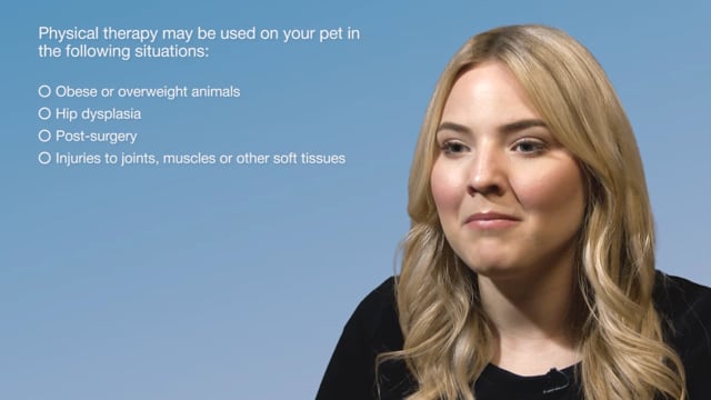 Module 01: What Animal Physiotherapy Is and Why It Is Used - Video Thumbnail