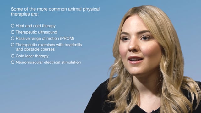 Module 02: Types of Animal Physiotherapy Treatments and Assistive Devices - Video Thumbnail