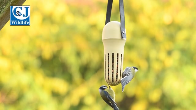 CJ Wildlife SingingFriend Max Peanut Feeder