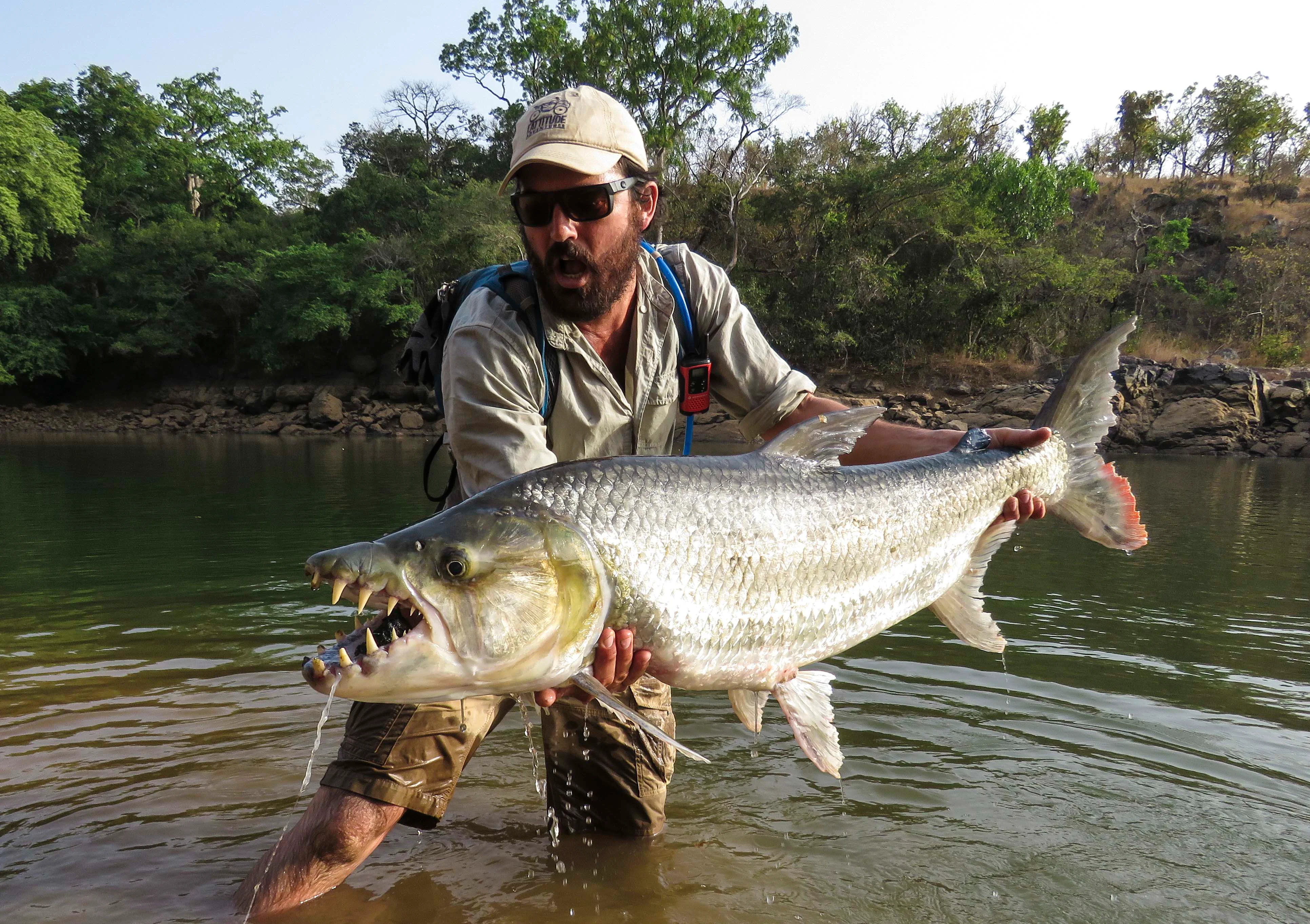 GOLIATH TIGERFISH ON FLY IN THE CHINKO RESERVE on Vimeo