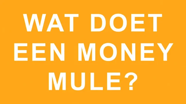Zwartwerk En Sociale Fraude - Privédetective Antwerpen- www.DB-Investigations.be thumbnail