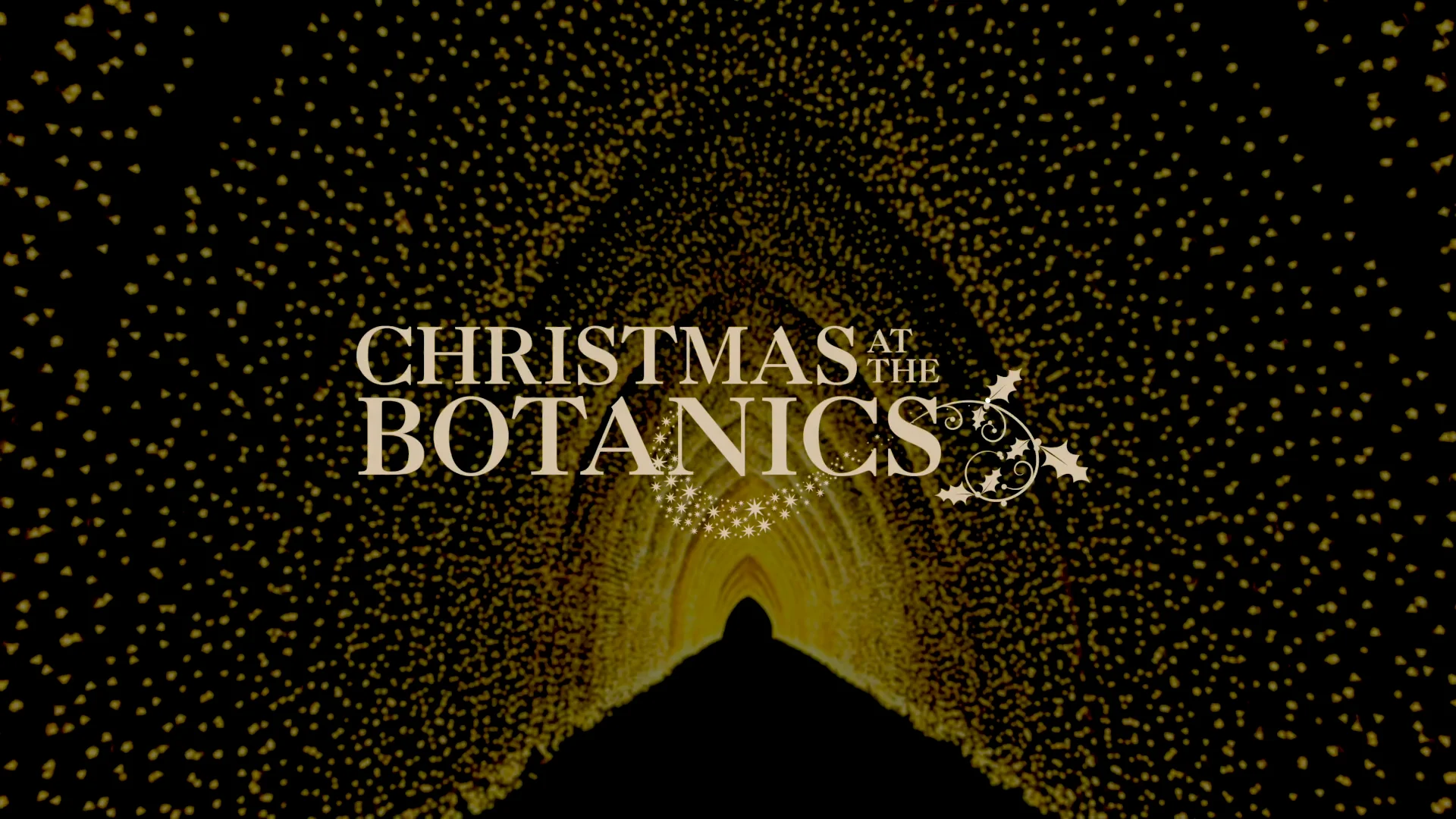 Christmas at the Botanics 2019 Promo video on Vimeo