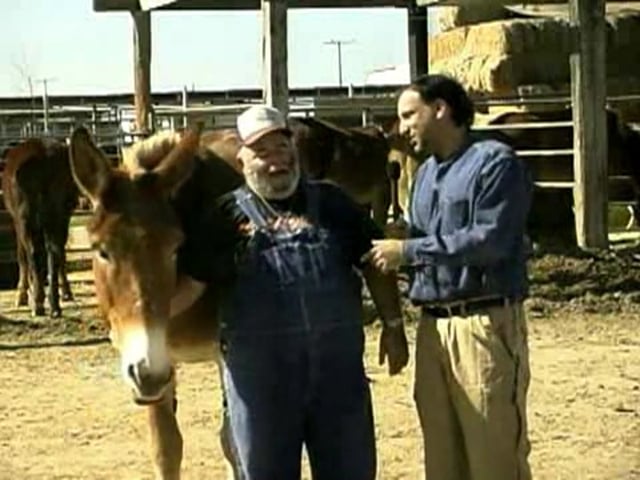 Making of The 20 Mule Team of Death Valley - b-part 2