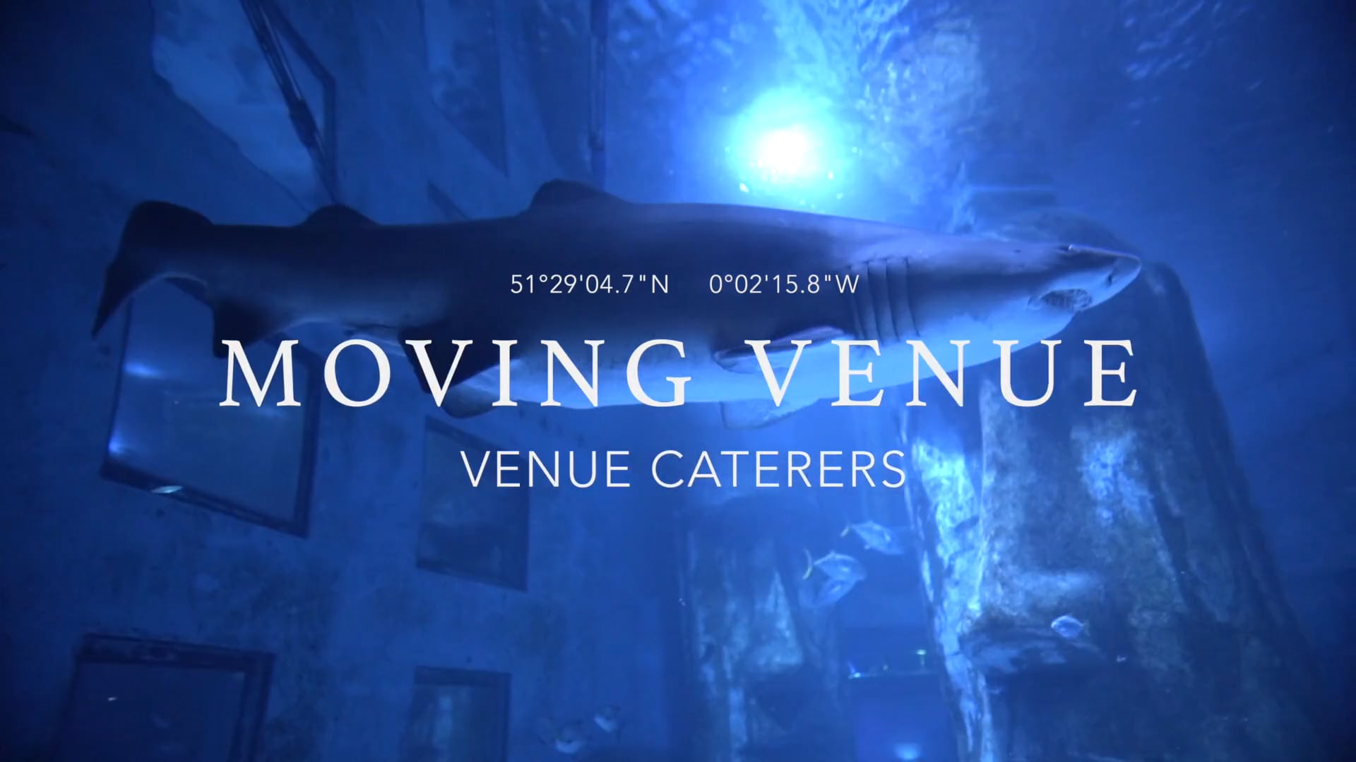 Cocktail Sealife Aquarium | Moving Venue | Reino Unido