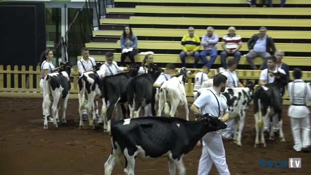 Sección 1.ª: terneras de 6 a 8 meses