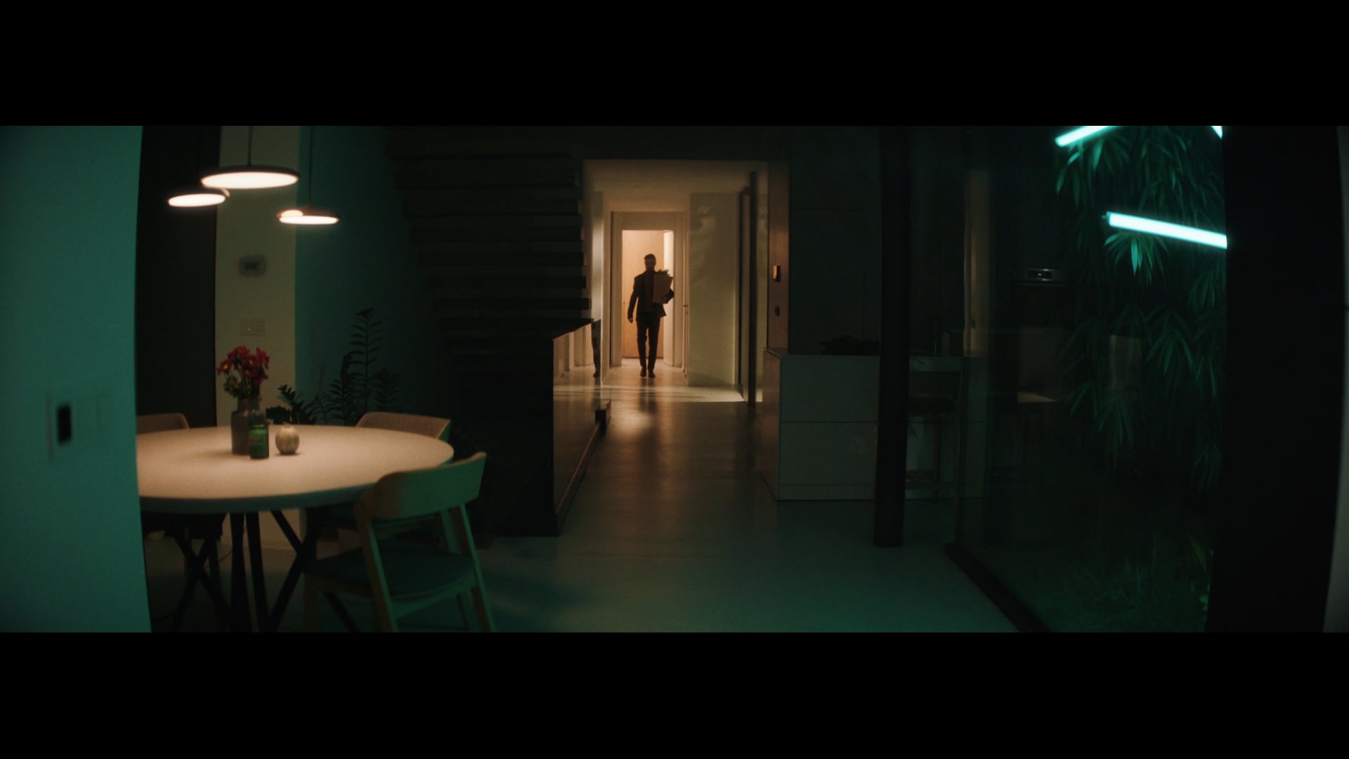 Domotron Commercial. Directors cut