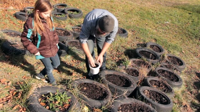Planting Woad Seeds