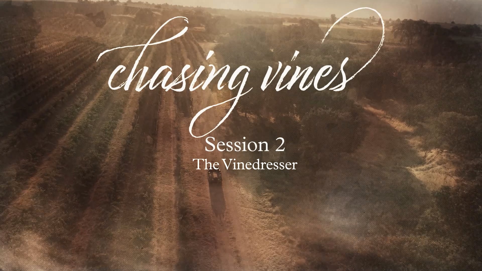 Watch Beth Moore Chasing Vines Session 2 Online Vimeo On Demand on