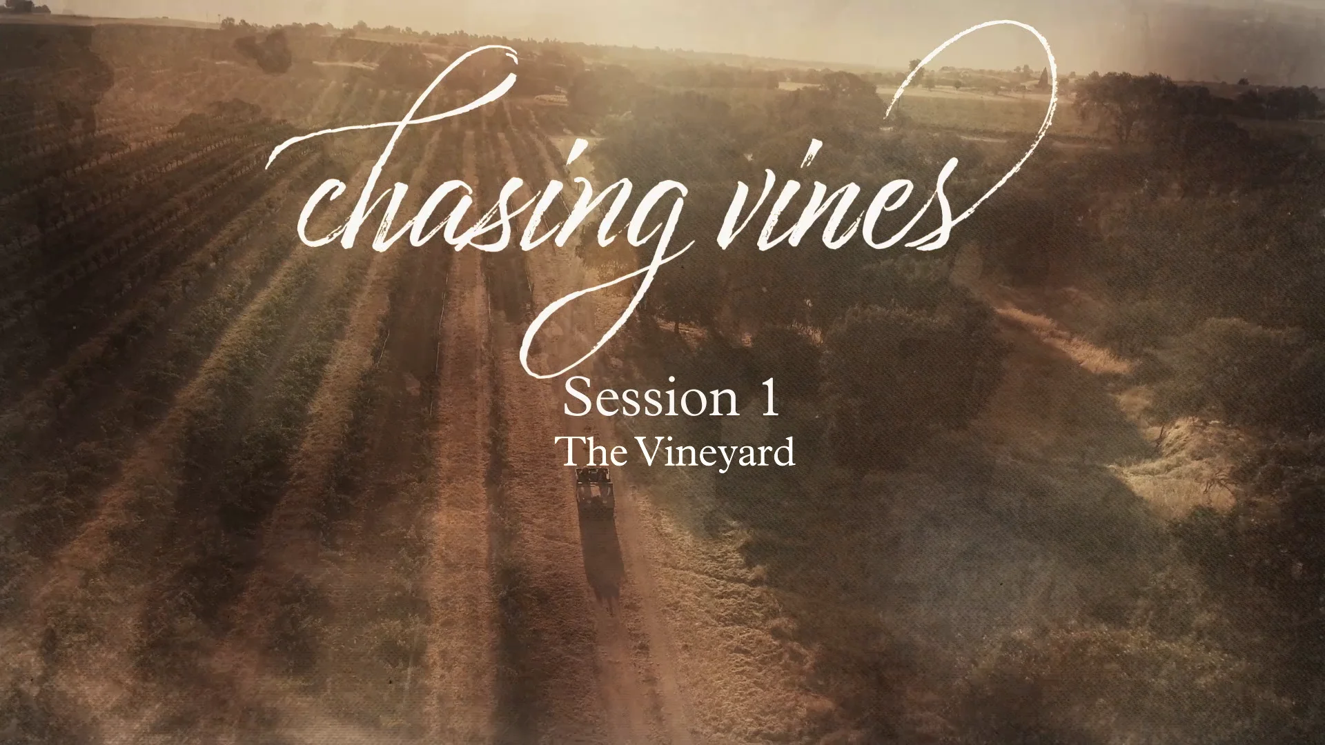 Watch Beth Moore Chasing Vines Session 1 Online Vimeo On Demand on