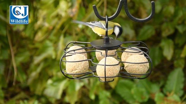 CJ Wildlife Fat Ball Star Feeder