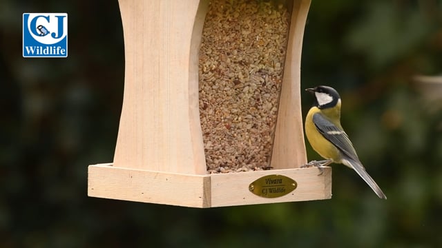 CJ Wildlife Mercure Seed Feeder