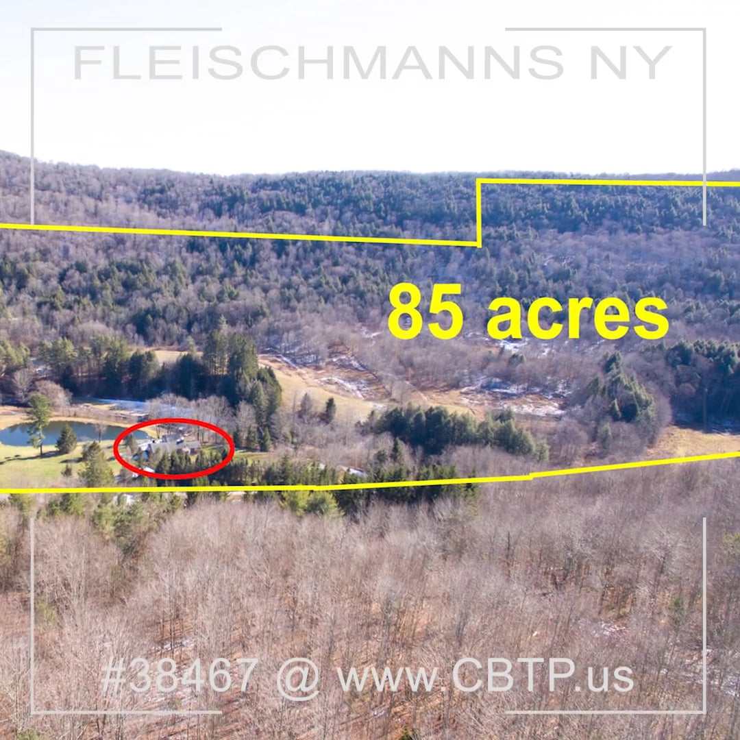 Fleischmanns NY Home and 85 acres for Sale on Vimeo