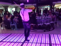 Shows con músicos internacionales
