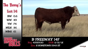 Lot #14 - B FREEWAY 14F