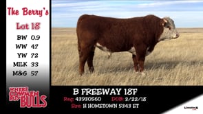 Lot #18 - B FREEWAY 18F