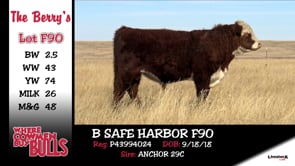 Lot #F90 - B SAFE HARBOR F90
