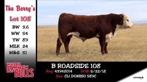 Lot #108 - B ROADSIDE 108
