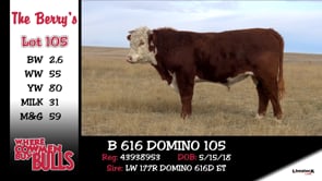 Lot #105 - B 616 DOMINO 105