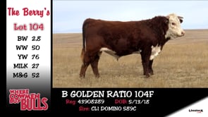 Lot #104 - B GOLDEN RATIO 104F