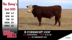 Lot #100 - B FOREMOST 100F