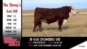 Lot #98 - B 616 DOMINO 98