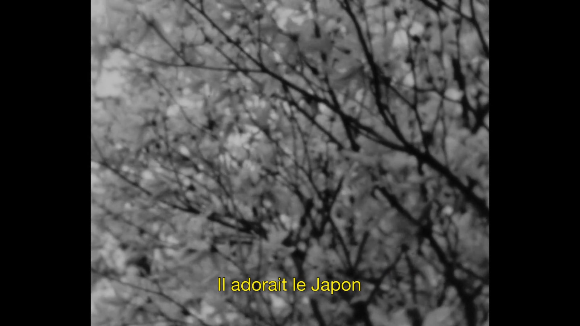SAISON NOIRE - DREAMLAND (Pilot) VOSTFR