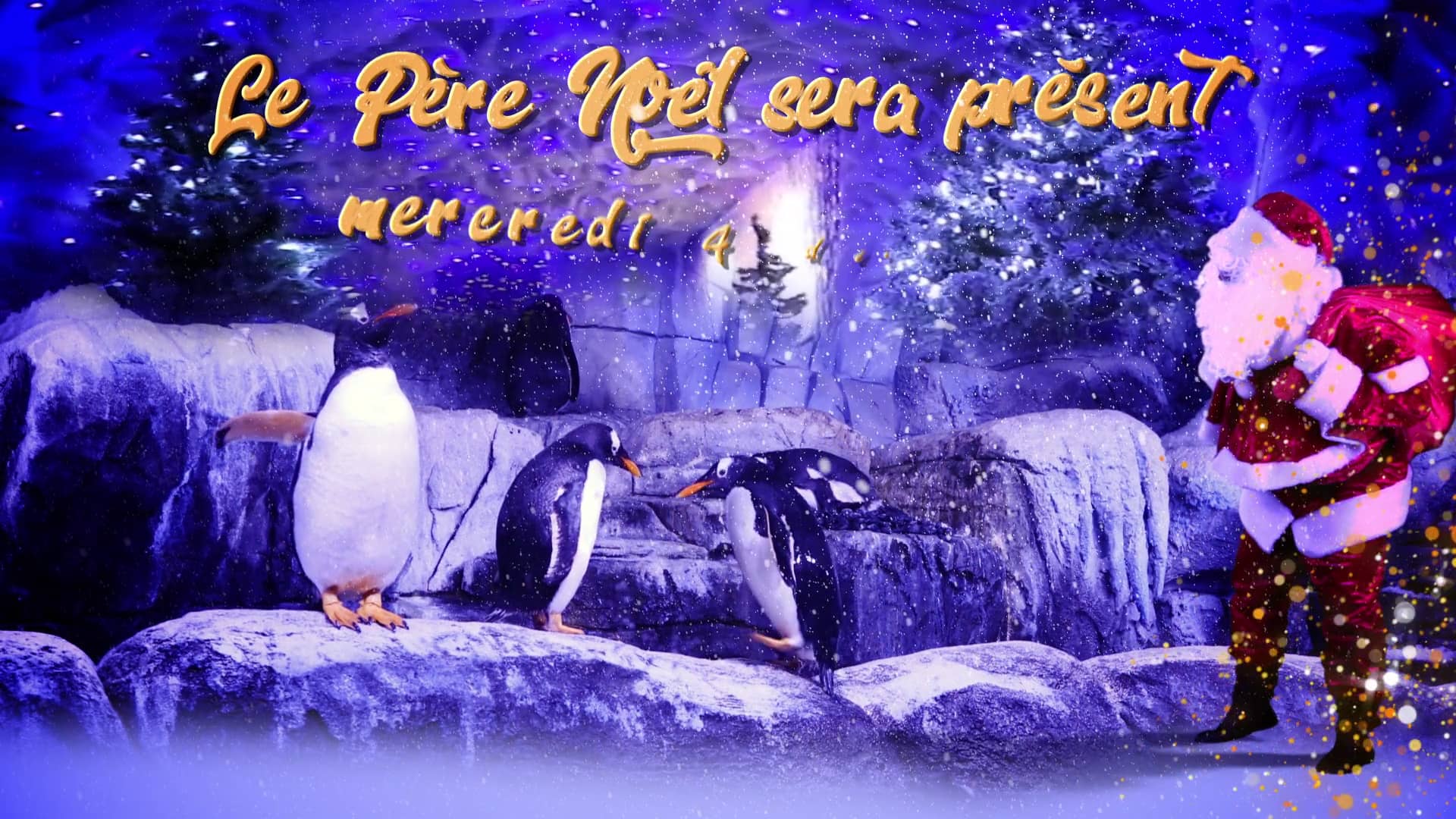 Fééries de Noël d