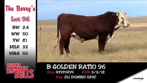Lot #96 - B GOLDEN RATIO 96